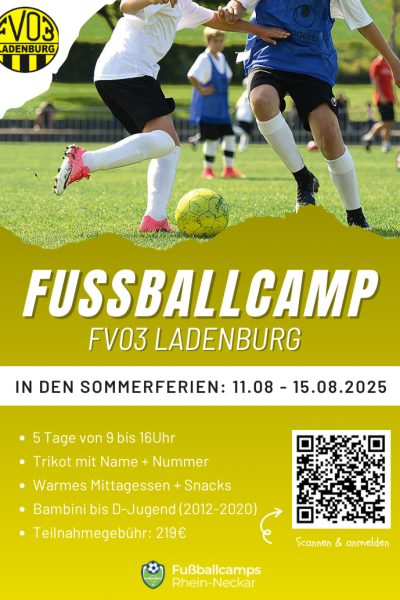 website fv 03